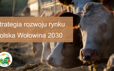 Przyjęta strategia „Polska Wołowina 2030”